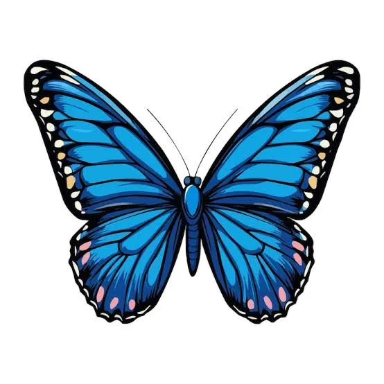 images.webp